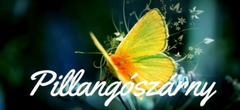 www.pillangoszarny.hu